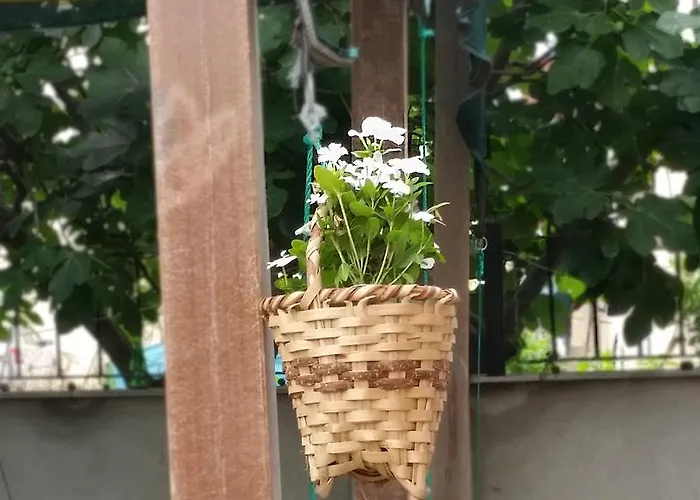 Izmit My House Apart *